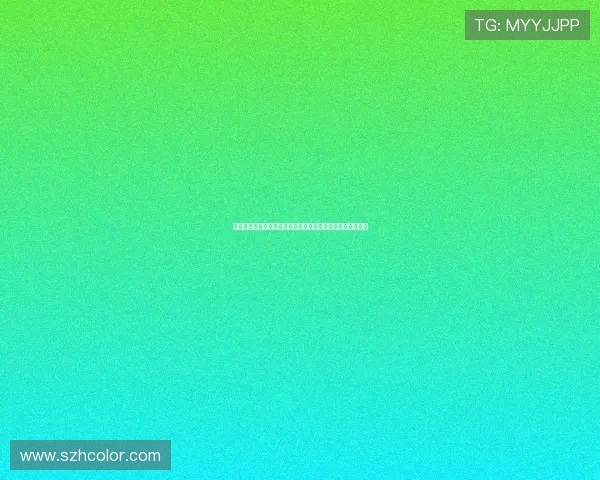 飞盘文化的崛起：深入了解西安飞盘队的团队精神与竞技魅力